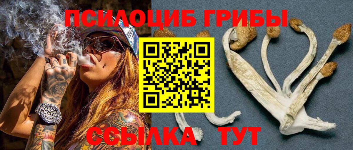 Псилоцибиновые грибы MAGIC MUSHROOMS  Галлюциногенные грибы MAGIC MUSHROOMS  Ефремов  Вход с VPN 