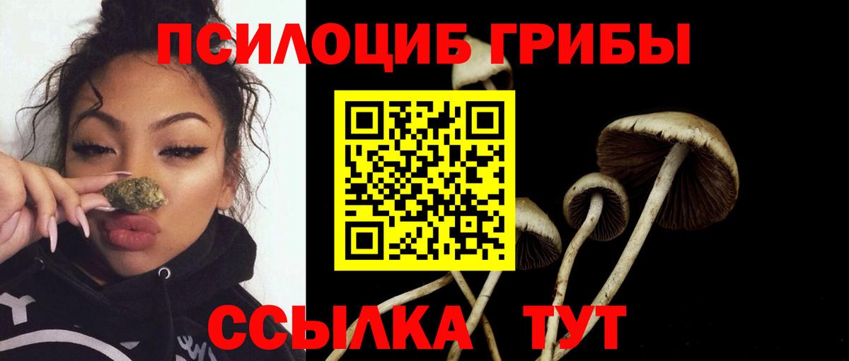 Псилоцибиновые грибы Cubensis Ефремов