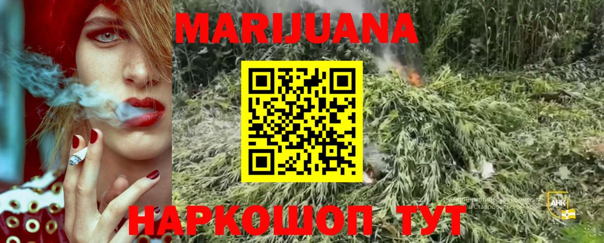 Бошки марихуана OG Kush Ефремов